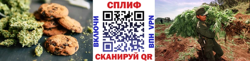 Купить закладки  Луга  Печенье с ТГК марихуана 