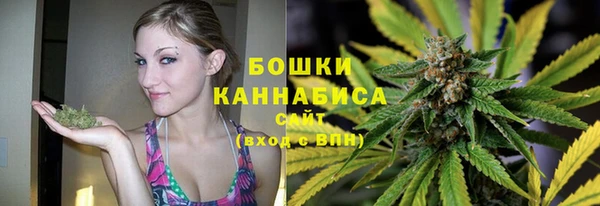 крисы Краснослободск