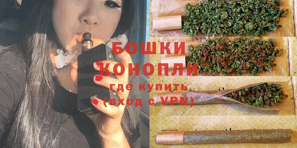 крисы Краснослободск