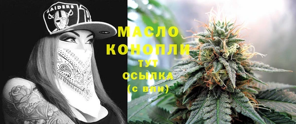 крисы Краснослободск