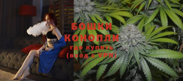 крисы Краснослободск