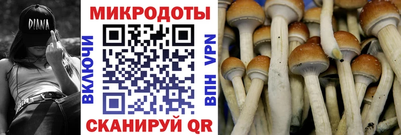 Псилоцибиновые грибы мухоморы  Купить где  Луга 